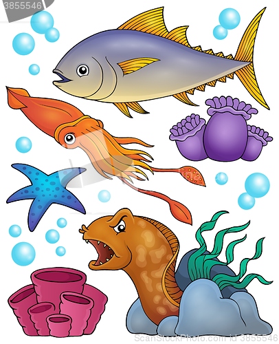 Image of Ocean fauna topic set 2