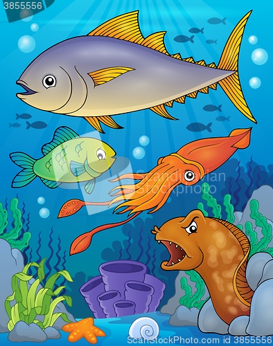 Image of Ocean fauna topic image 6