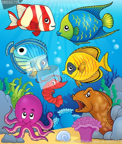 Image of Coral fauna theme image 3