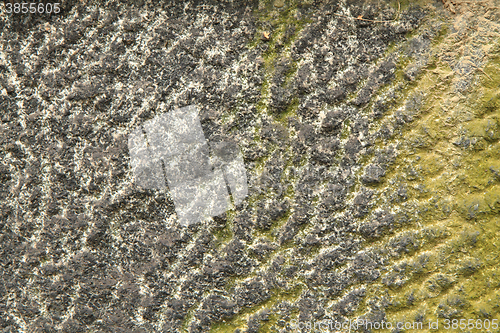 Image of stone natural background