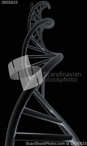 Image of DNA structure model