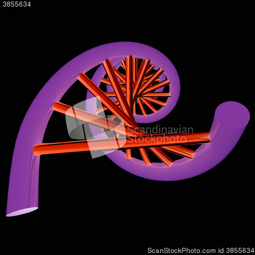 Image of DNA structure model