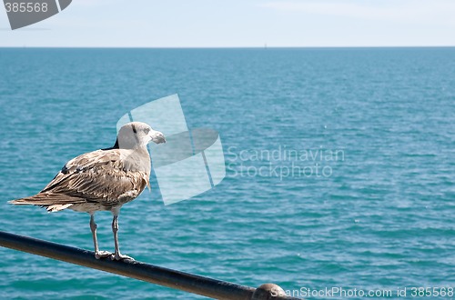 Image of looking to the horizon