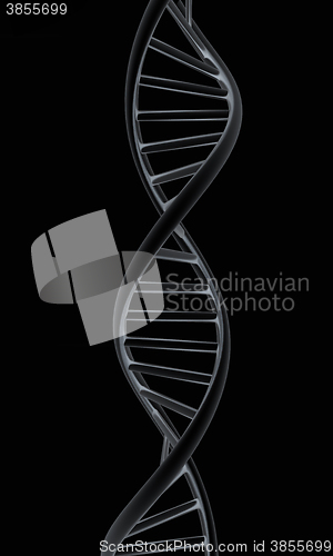 Image of DNA structure model