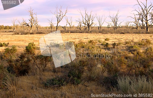 Image of drought