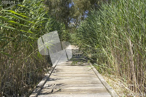 Image of boardwalk