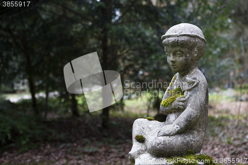 Image of Overgrown grave stones 