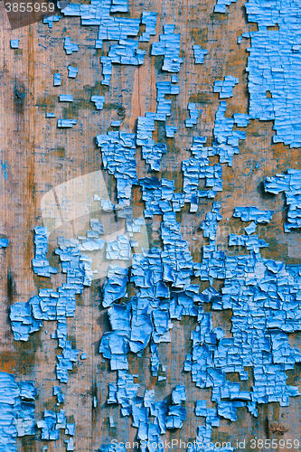 Image of Old blue cracked paint on wooden background