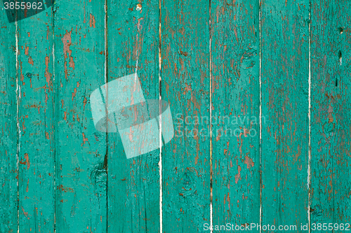 Image of Old green cracked paint on wooden background