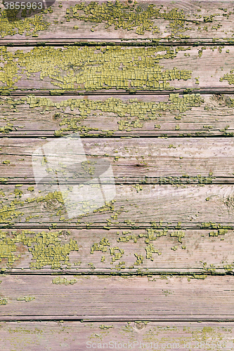 Image of Old green cracked paint on wooden background