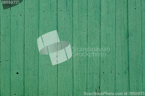 Image of Old green cracked paint on wooden background