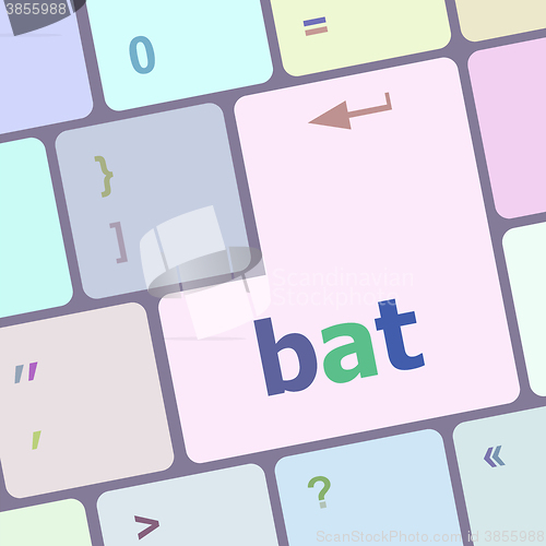 Image of bat word on keyboard key, notebook computer vector illustration
