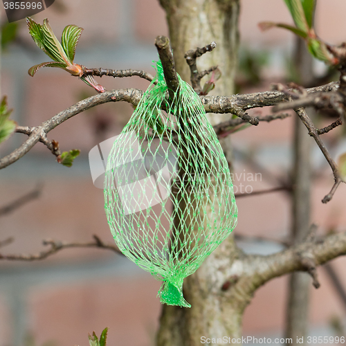 Image of Tallow bird food (empty net) 