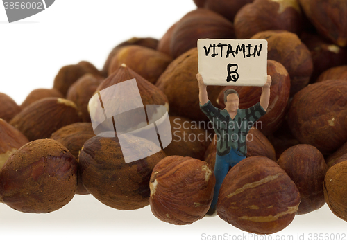 Image of Miniature worker working with hazelnuts