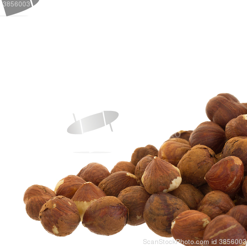 Image of Heap of old hazelnuts