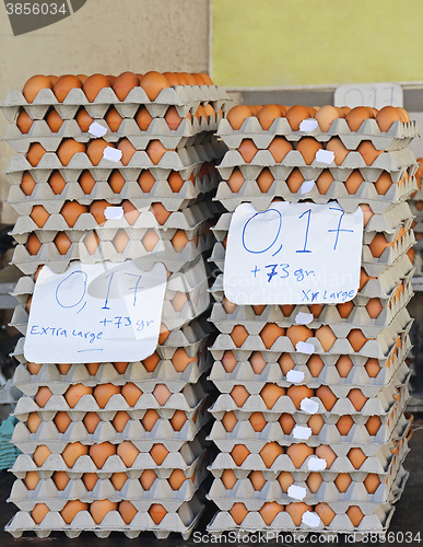 Image of Eggs in Trays
