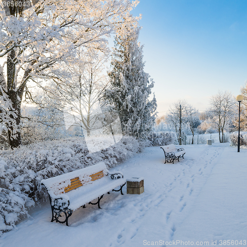 Image of A beautiful city park with trees covered with hoarfrost