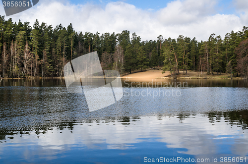 Image of Spring landscape at wood lake
