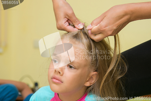 Image of  Girl hurt when her long hair braided