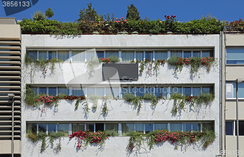 Image of Building With Plants