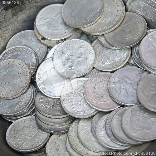 Image of Silver Dollars