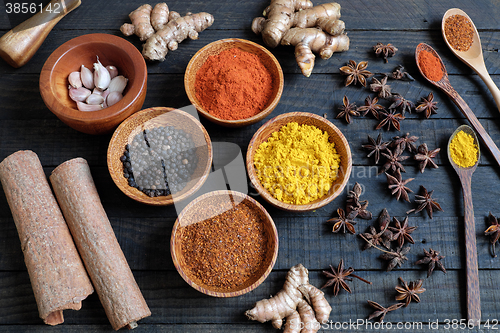 Image of Colorful spice powder, chilli, pepper, turmeric, cashew 