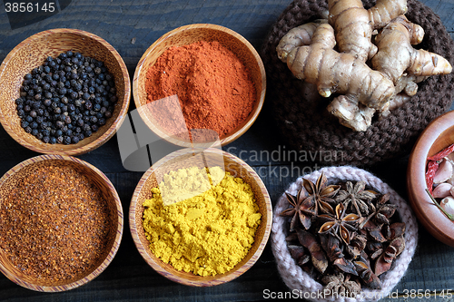 Image of Colorful spice powder, chilli, pepper, turmeric, cashew 