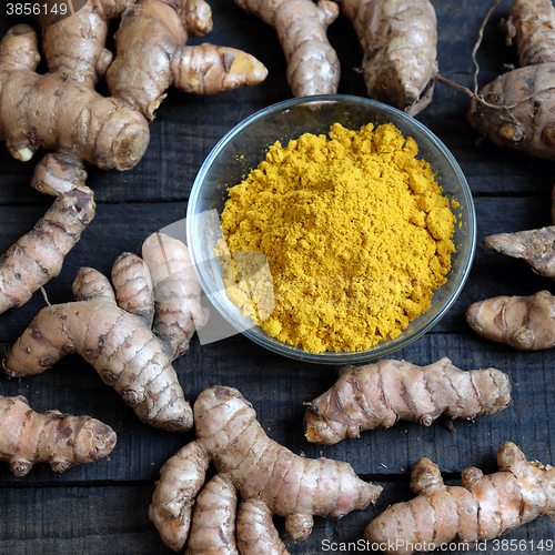 Image of Turmeric powder, spice, healthy food