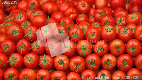 Image of Tomatoes