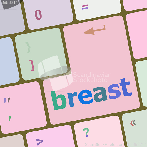Image of breast word on keyboard key vector illustration