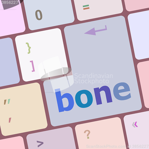 Image of bone button on computer pc keyboard key vector illustration