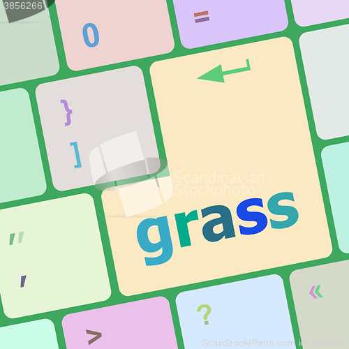 Image of Computer keyboard button with grass button vector illustration