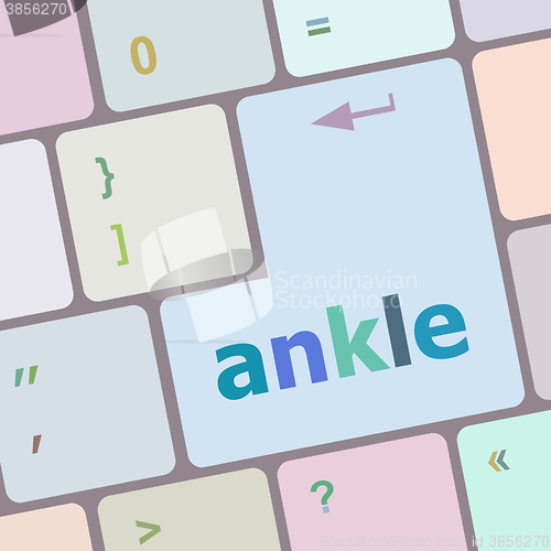 Image of Keyboard with white enter button, ankle word on it vector illustration