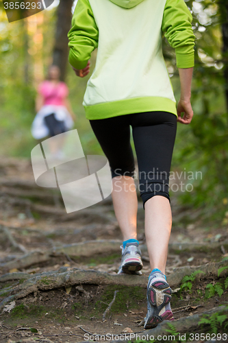 Image of Female  runner in the forest. 