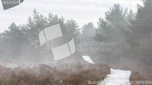 Image of Foggy dutch landscape with a path