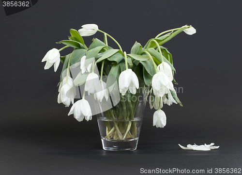 Image of Vase full of droopy and dead flowers