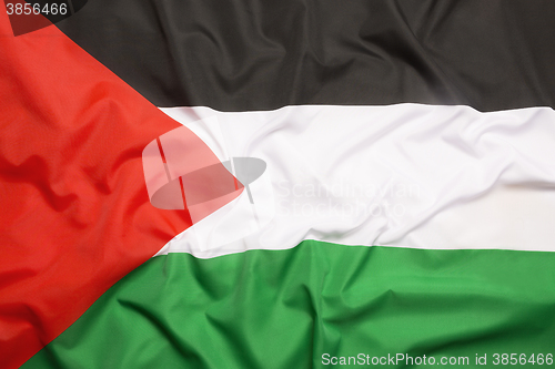 Image of Flag of Palestine