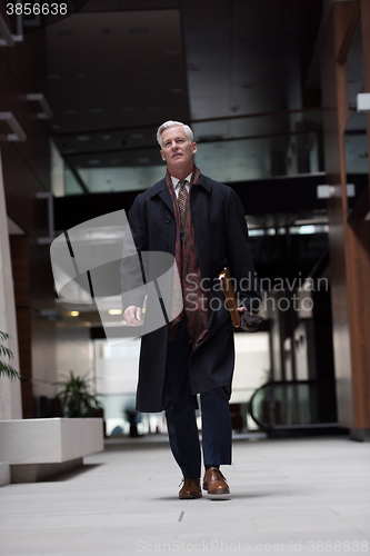 Image of handsome senior business man walking