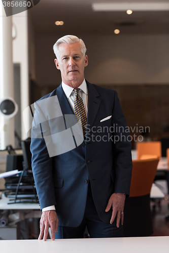 Image of portrait of handsome senior business man at modern office