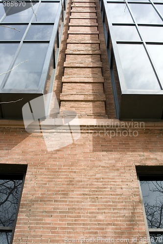 Image of Looking up