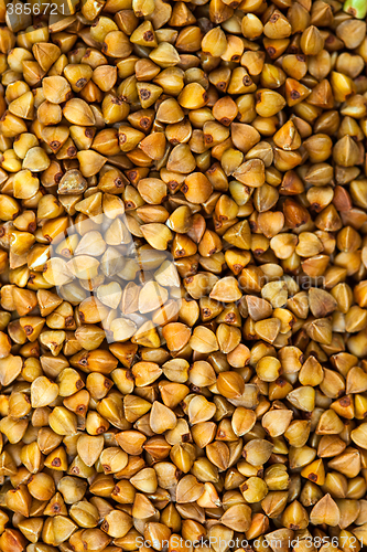 Image of buckwheat seeds