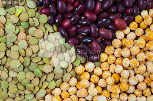 Image of bean, lentil and pea background