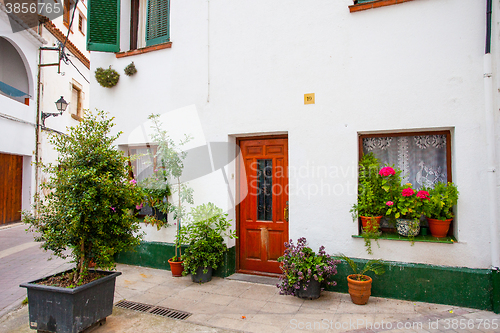 Image of An outside pots filled with vibrant multicolored flowers