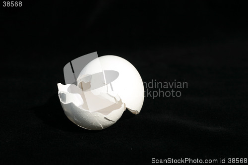 Image of Broken egg