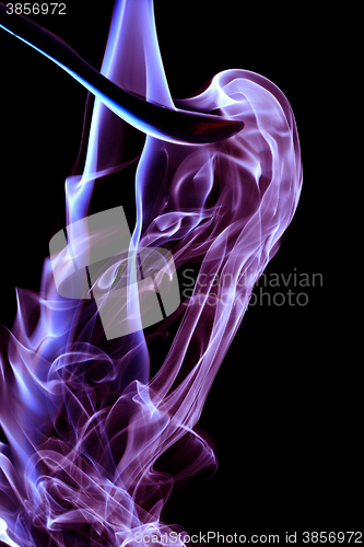 Image of Purple smoke