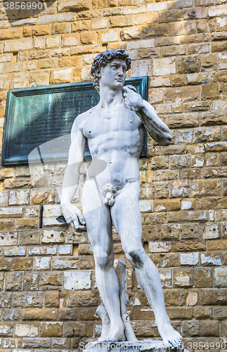 Image of David in Florence