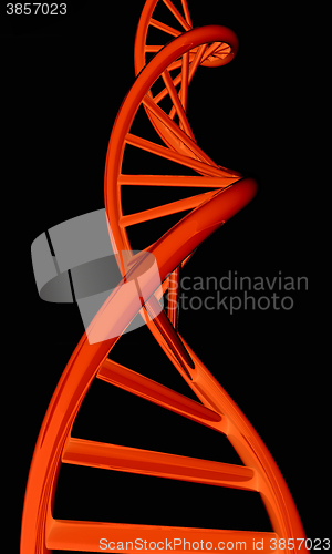 Image of DNA structure model