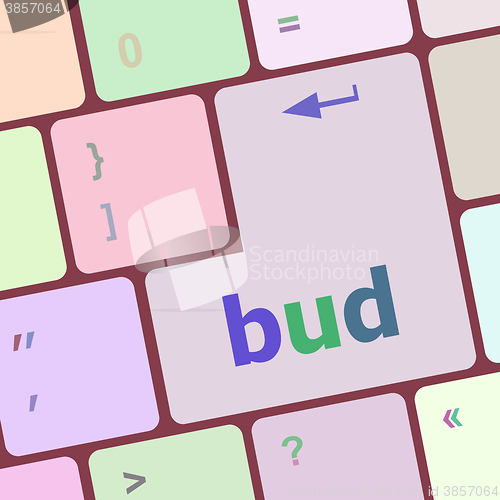Image of button with bud word on computer keyboard keys vector illustration
