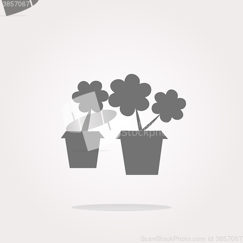 Image of vector Flowerpot with plant - web icon isolated. Web Icon Art. Graphic Icon Drawing