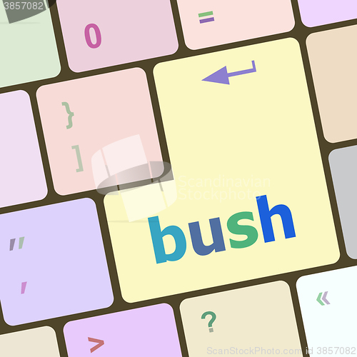 Image of bush word icon on laptop keyboard keys vector illustration